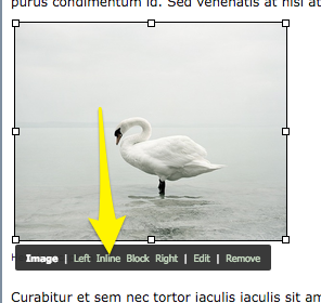 inline-to-move.png