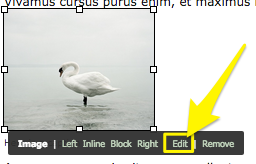 edit.png