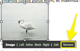remove-image.png