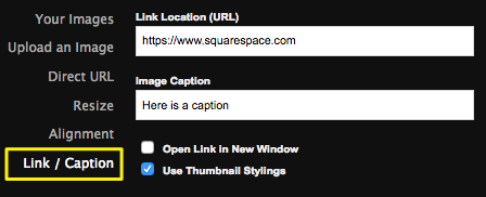 link-caption.png